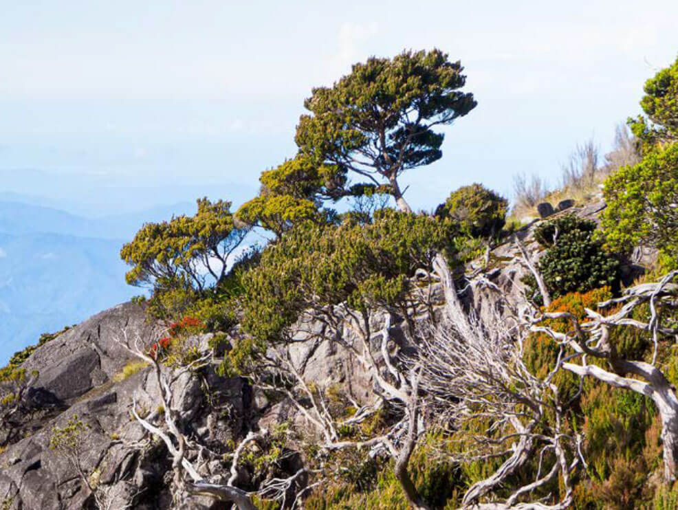 Kinabalu UNESCO Global Geopark