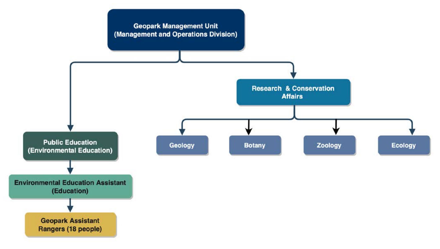 Steering Committee